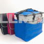 Термосумка Сумка-холодильник DT-4245 Cooling Bag 33 л